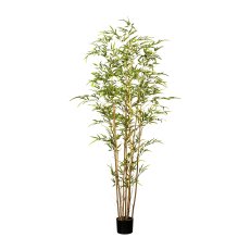 Bambus x7, ca 180cm, grün,