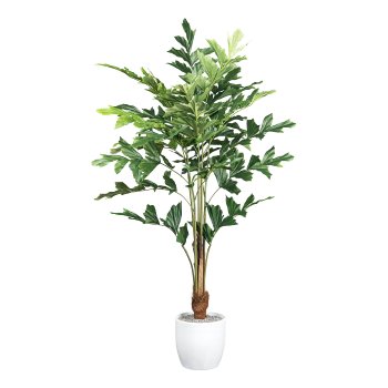 Caryota palm x7, 88 leaves ca 120cm green in plastic pot 12x11,5cm w. soil