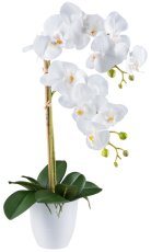 Phalaenopsis x2, 56cm, white, Real Touch, in melamine pot white 12x12cm