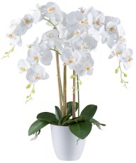 Phalaenopsis x4 ,62cm, white Real Touch, in melamine pot white 15x14cm