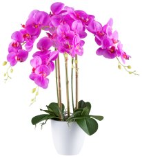 Phalaenopsis x4, 62cm, purple Real Touch, in melamine pot white 15x14cm