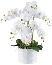 Phalaenopsis x7, 60cm, white, Real Touch, in ceramic pot white 19.5x15cm