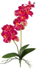 Phalaenopsis x2, 9 flowers 57cm, pink, Real Touch