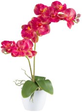 Phalaenopsis x2, 9 flowers 57cm, pink, Real Touch in ceramic pot 11cm white