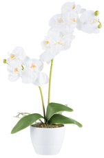 Phalaenopsis x2, 9 flowers 57cm, white, Real Touch in ceramic pot 11cm white