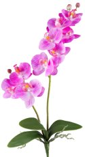 Phalaenopsis x2, 9 flowers 57cm, orchid, Real Touch
