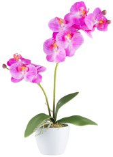 Phalaenopsis x2, 9 flowers 57cm, orchid, Real Touch in ceramic pot 11cm white