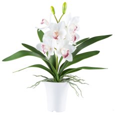 Cymbidium x1, 6 flowers 53cm, white, Real Touch in melamine pot white 13.5x15cm