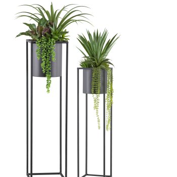 Sukkulenten Arrangement, grün, Set 2, 105/135cm, auf Metallständer schwarz