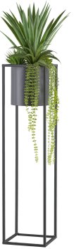 Sukkulenten Arrangement, grün, Set 2, 105/135cm, auf Metallständer schwarz