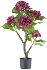 Hortensienbusch x6, purpur ca 85cm, real touch, im Kunststofftopf 15x13cm