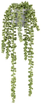 Sedum x8, 45cm lightgreen in cementpot 8.5x8.5cm grey