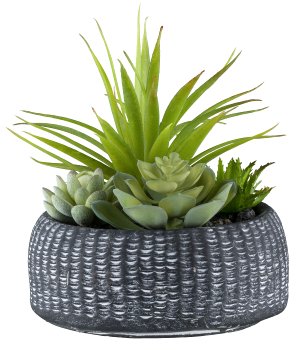 Sukkulenten Arrangement, 18cm in Zementschale 16x7,5cm anthrazit