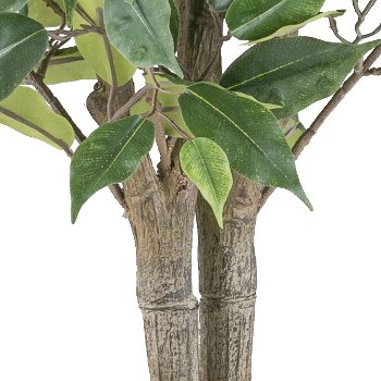 Ficus Benjamina, 125cm, green, UV-resistant, flame-retardant, in plastic pot 15x12.5cm