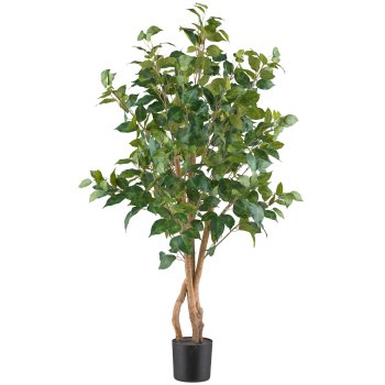 Ficus Benjamina, 110cm grün, 540 Blätter, Naturstamm, im Kunststofftopf 12,5x11,5cm