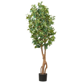 Ficus Benjamina, 160cm grün, 1125 Blätter, Naturstamm, im Kunststofftopf 17x15cm