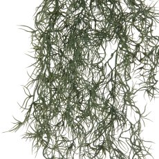 Tillandsia hanger, approx. 80cm, grey-green