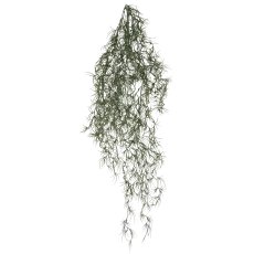 Tillandsia-Hänger, ca 80cm, graugrün