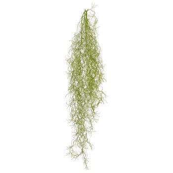 Tillandsia-Hänger, ca 80cm, hellgrau
