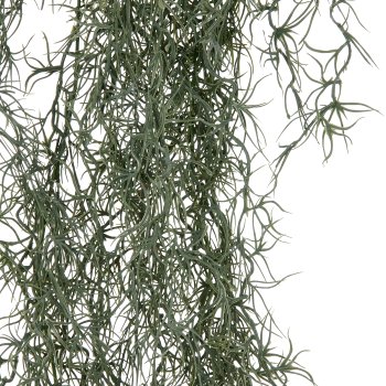 Tillandsia hanger, approx. 120cm, grey-green