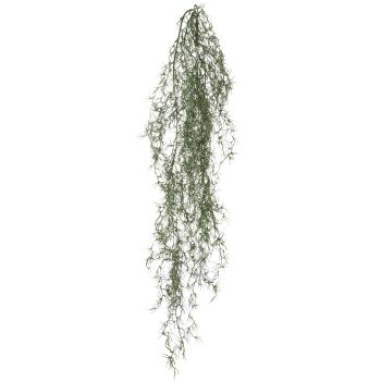 Tillandsia hanger, approx. 120cm, grey-green