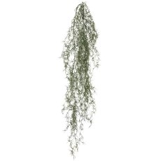 Tillandsia hanger, approx. 120cm, grey-green