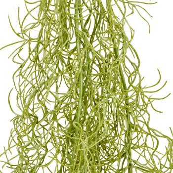 Tillandsia hanger, approx. 120cm, light grey