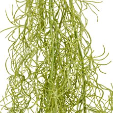 Tillandsia hanger, approx. 120cm, light grey