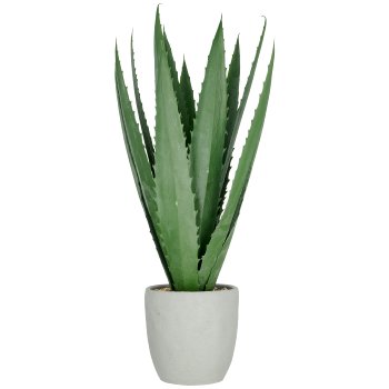 Agave x13, 80cm, grün, im grauen Zementtopf 20x20cm mit Kies, UV-beständig