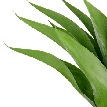 Agave x17, 75cm, green, in grey fibreclay pot 30x34cm with gravel, UV-resistant