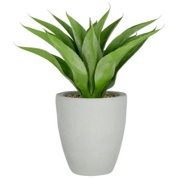 Agave x17, 75cm, green, in grey fibreclay pot 30x34cm with gravel, UV-resistant
