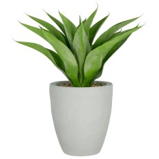 Agave x17, 75cm, green, in grey fibreclay pot 30x34cm with gravel, UV-resistant