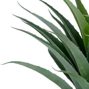 Agave, 75cm, green, in black fibreclay pot 33x26cm with gravel, UV-resistant