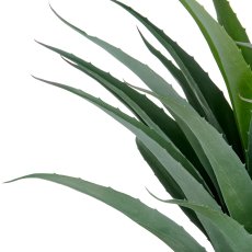 Agave, 75cm, green, in black fibreclay pot 33x26cm with gravel, UV-resistant