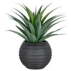 Agave, 75cm, green, in black fibreclay pot 33x26cm with gravel, UV-resistant