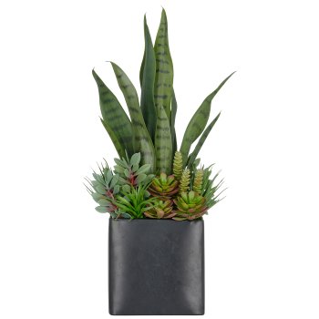 Sukkulentenarrangement, 55cm, grün, im schwarzen Metalltopf 16x17cm mit Kies