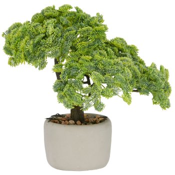 Bonsai Sedum multiceps x2, 24x26x20cm, grün, in grauer Zementschale 10x7cm mit Kies