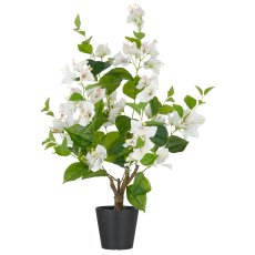 Bougainvillea, 68cm, weiß, im Kunststofftopf 12,5x11,5cm mit Erde
