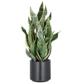 Sansevieria Green Honey, 66cm, hellgrün, im Kunststofftopf 18x18cm anthrazit mit Erde