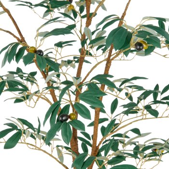 Olivenbaum x36 Fr., 570 Bl., 160cm, grün, im Kunststofftopf 16x15cm mit Erde, UV-beständig