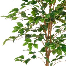 Ficus Benjamina, 570 leaves, 150cm, green, in plastic pot 16x15cm with soil, UV-resistant