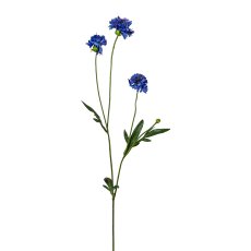 Cornflower 6/Poly, 59 cm, Blue