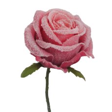 Rose mit Schnee, 26 cm,