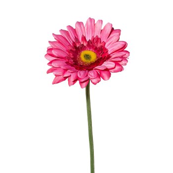 Gerbera, 63 cm, orange