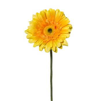 Gerbera, 63cm, yellow