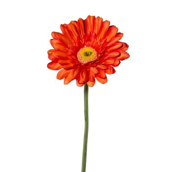 Gerbera, 63 cm, orange