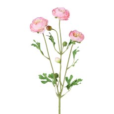 Ranunculus Branch x 6 4/Poly,