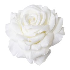 Rose with Clip 6/Poly, 8.5 x 10.5cm, White, 6/Piece