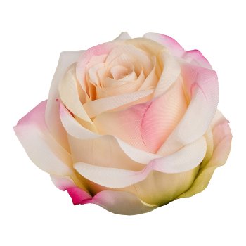 Rose with Clip 6/Poly, 8,5 x 10,5cm, Peach, 6/Piece