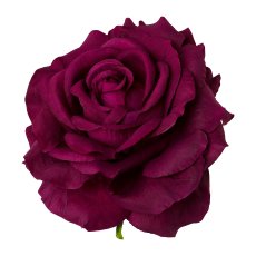 Rose with Clip 6/Poly, 8.5 x 10.5cm, Purple, 6/Piece